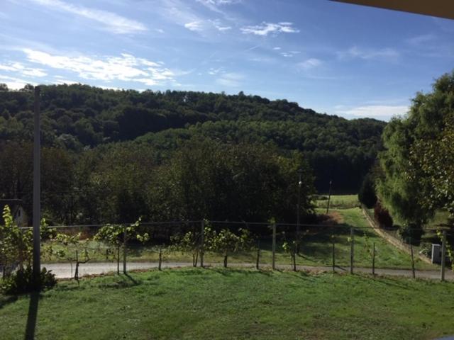 Villa Kuca Za Odmor "Nedeljko"/ Holliday Hause "Nedeljko" à Sveti Martin Na Muri Extérieur photo