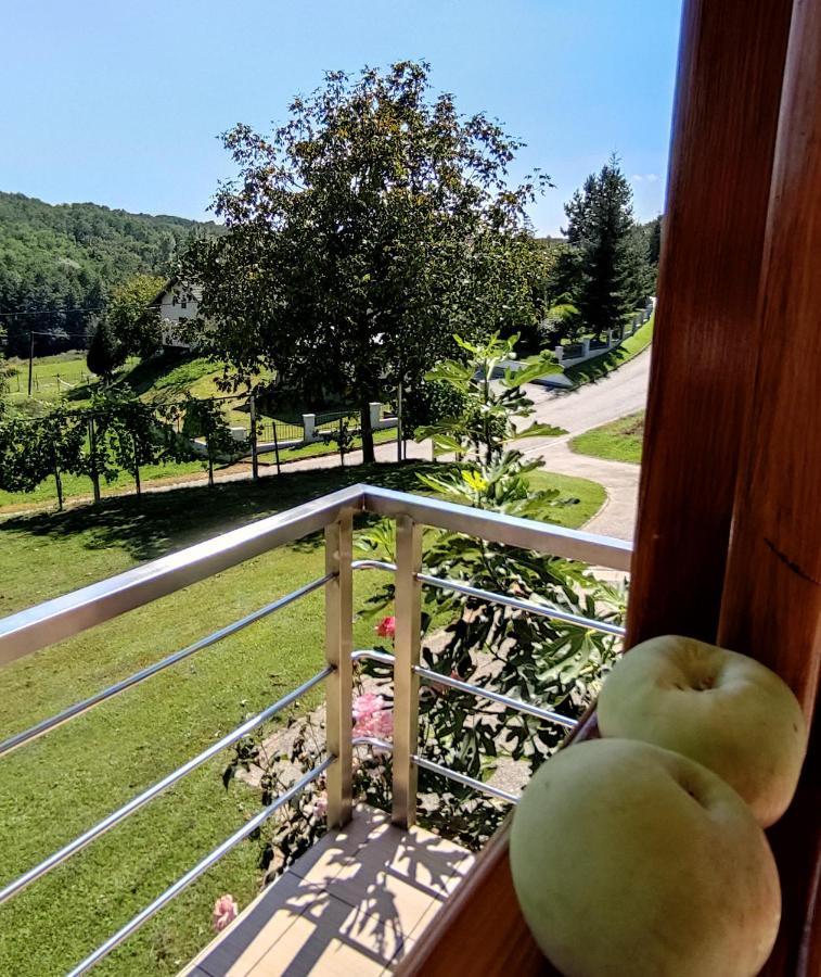 Villa Kuca Za Odmor "Nedeljko"/ Holliday Hause "Nedeljko" à Sveti Martin Na Muri Extérieur photo