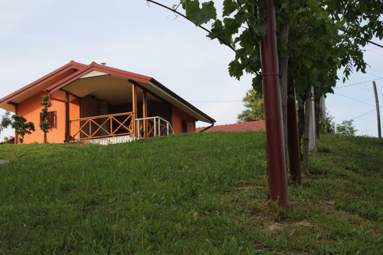 Villa Kuca Za Odmor "Nedeljko"/ Holliday Hause "Nedeljko" à Sveti Martin Na Muri Extérieur photo